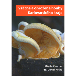 Vzácné a ohrožené houby Karlovarského kraje (CHOCHEL - HRČKA)