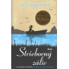Strieborný záliv (MOYESOVÁ, Jojo)