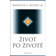 Život po životě (MOODY, Raymond A., Jr.)
