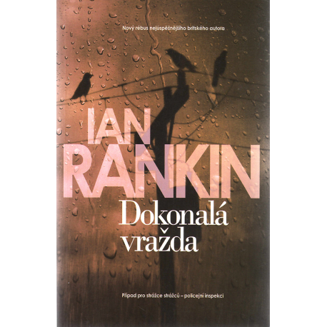 Dokonalá vražda (RANKIN, Ian)