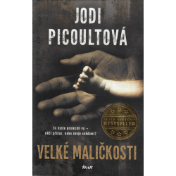 Velké maličkosti (PICOULTOVÁ, Jodi)