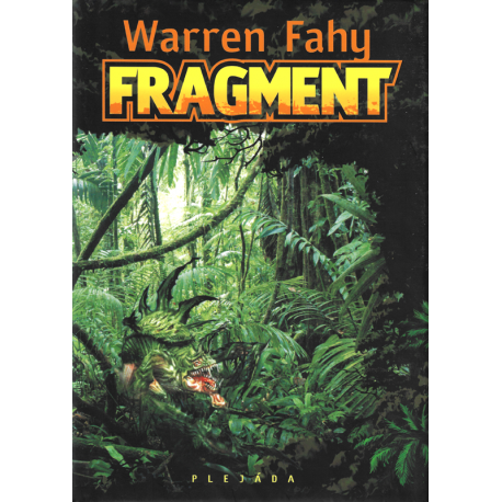 Fragment (FAHY, Warren)