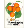 Pomologický atlas 1 (KUTINA a kolektiv)