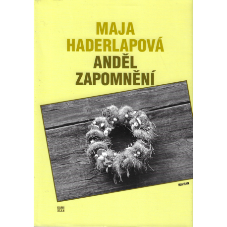 Anděl zapomnění (HADERLAPOVÁ, Maja)