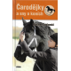 Čarodějky a sny o koních (JABLONSKI, Marlene)
