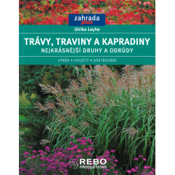 Trávy, traviny a kapradiny (LEYHE, Ulrike)