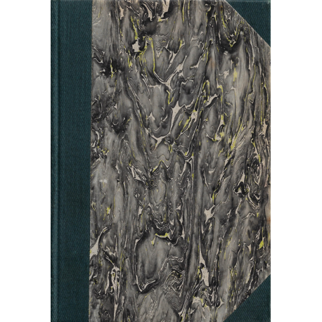 Der Tyrann – Die Branzilla (MANN, Heinrich)