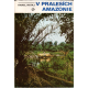 V pralesích Amazonie (RATAJ, Karel)