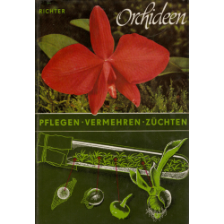 Orchideen (RICHTER, Walter)