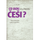 Co jsou Češi? (PATOČKA, Jan)