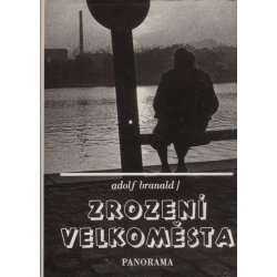 Zrození velkoměsta (BRANALD, Adolf)