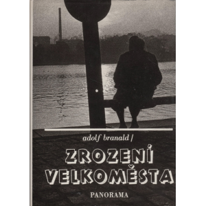 Zrození velkoměsta (BRANALD, Adolf)