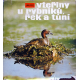 Vteřiny u rybníků, řek a tůní (RYS, Jan)
