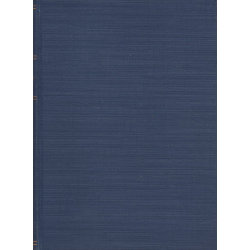 Nástrahy (KARAS, J. F.)