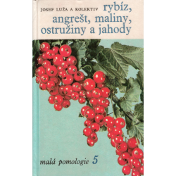 Rybíz, angrešt, maliny, ostružiny a jahody (LUŽA, Josef a kolektiv)
