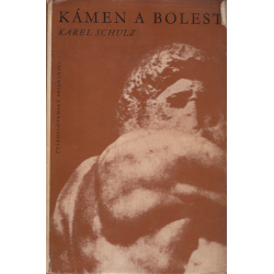 Kámen a bolest (SCHULZ, Karel)