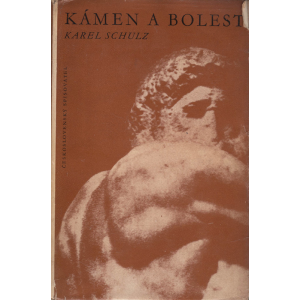 Kámen a bolest (SCHULZ, Karel)
