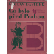 Co bylo před Prahou (DAVÍDEK, Václav)