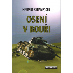 Osení v bouři (BRUNNEGGER, Herbert)