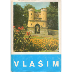 Vlašim (kolektiv autorů)