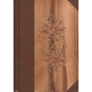 Panstvo ze zámku (PITTNEROVÁ, Vlasta)