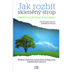 Jak rozbít skleněný strop (TAYLOROVÁ, JOHNSTONOVÁ, AMAROVÁ)
