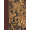 Bílý Dominikán (MEYRINK, Gustav)