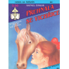 Cesta za štěstím - Přehnala se vichřice (ŽINGOR, Rafael)