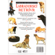 Labradorský retrívr (FOGLE, Bruce, Dr.)