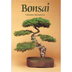 Bonsai (STEWARTOVÁ, Christine)